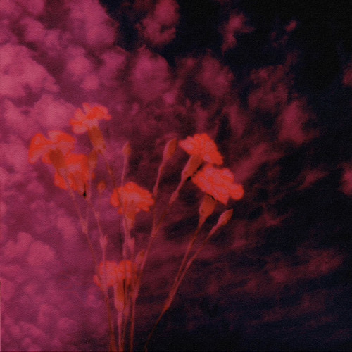 Cover for Night Mess